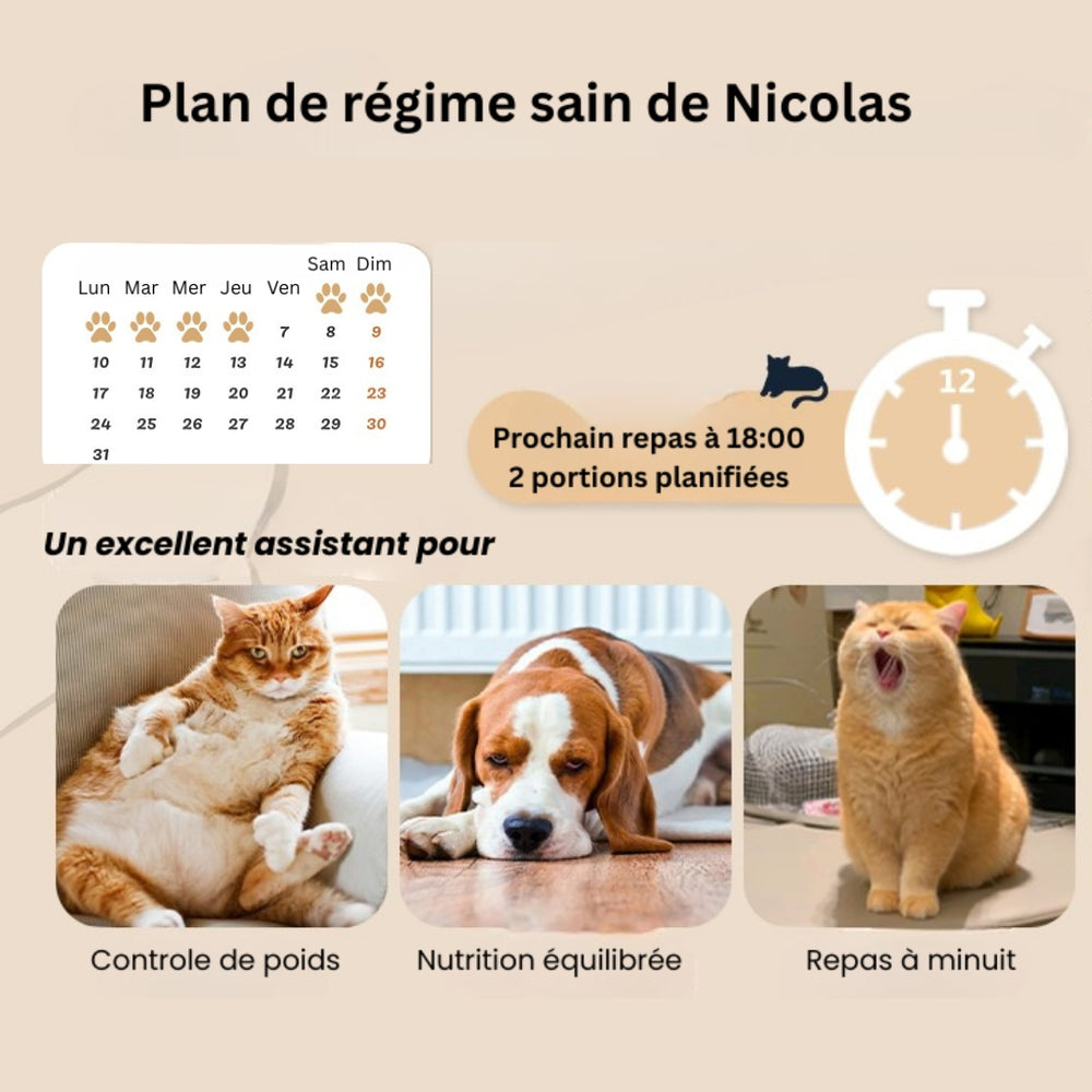 🐾 Bien-être et Équilibre au Quotidien