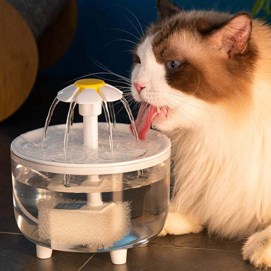 Fontaine à eau intelligente pour chat